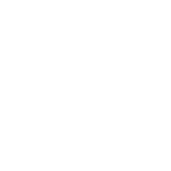 Safe Drive